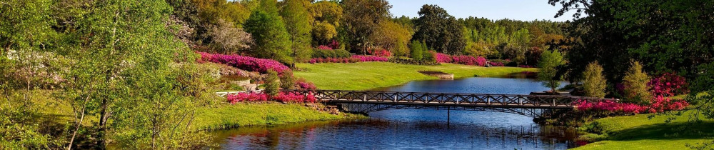 Noël L. (Espace Naturel Vendée)