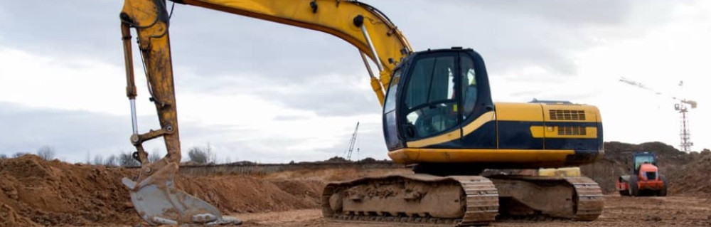 Anelka M. (Julienne Service)