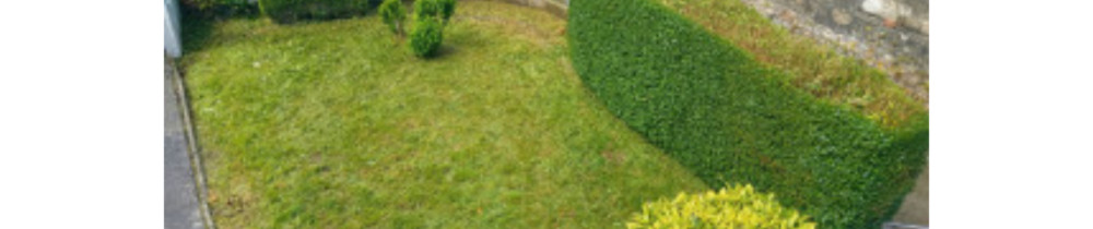 Nicolas P. (NICOLAS MULTISERVICES)