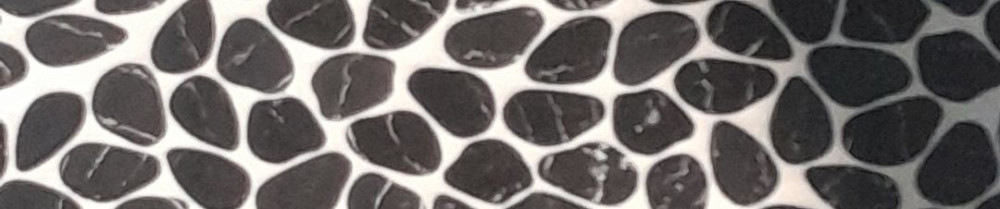 Denis F. (Carreleur)