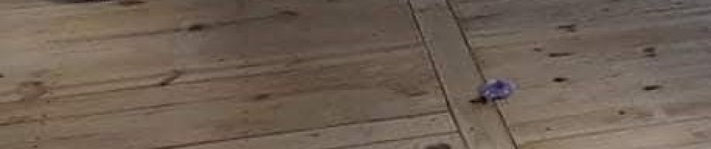 Jean Christophe Nicolas H. (Elecbay)