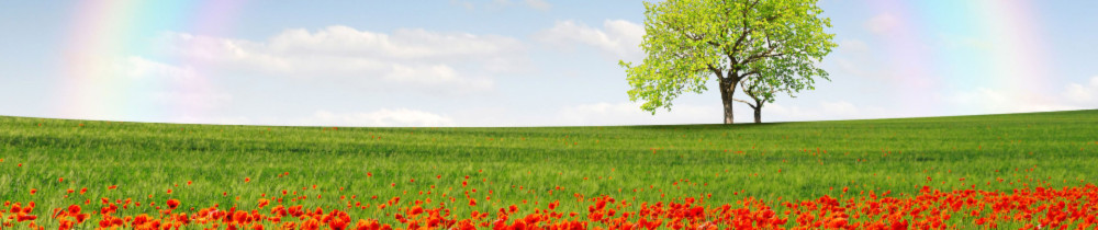 Jade L. (Jade Lanza)