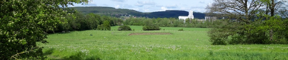 Lorenzo C. (Les Jardins de Mon Idée)