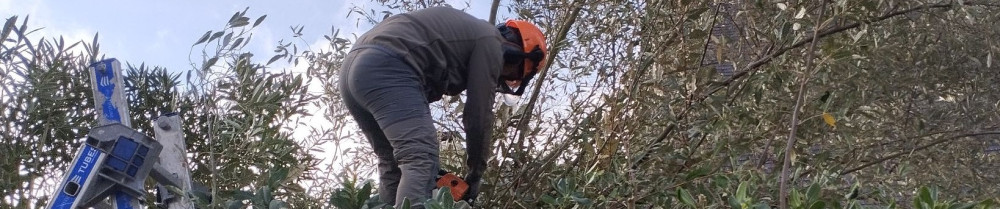 Jean D. (Dubois Jean)