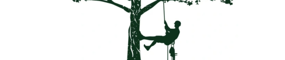 Mickaël H. (DE LA HAISELLE)