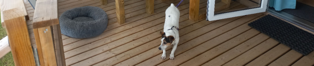 Marina C. (marina ceard)