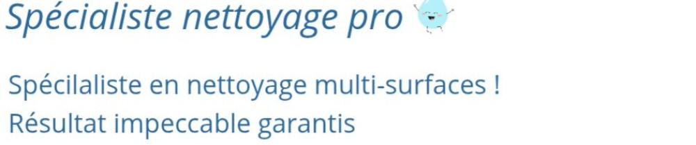 Thomas C. (Tom Clean Pro)