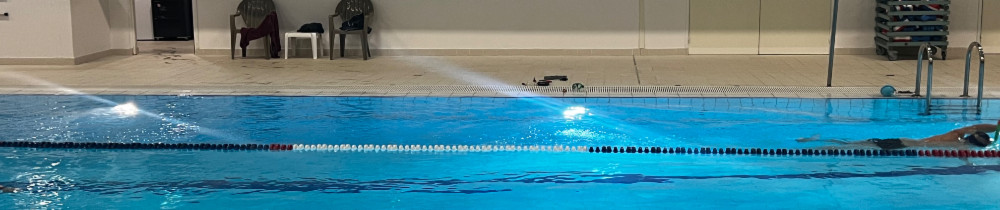 Morgan P. (Morgan Petit)