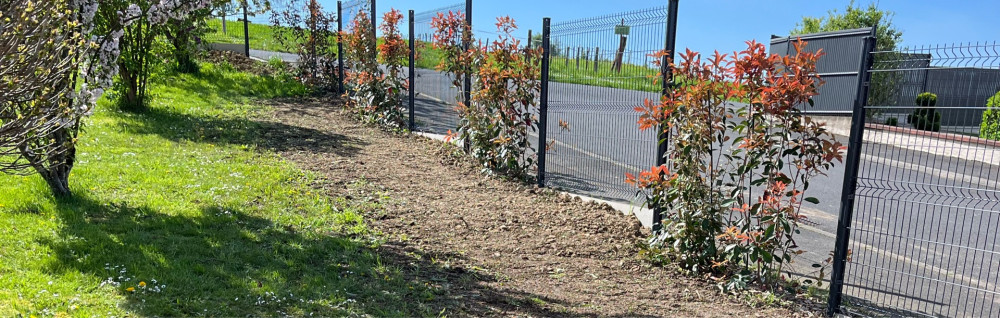 Benoit S. (B-S bois)