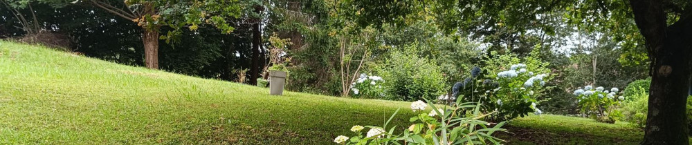 Mathias G. (Côte Basque Paysage)