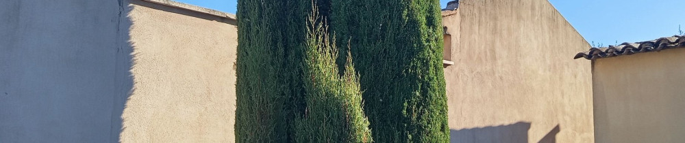 Gregory B. (Greg services)