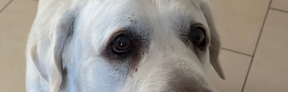 Gerald Cyril S. (Cyril peinture)