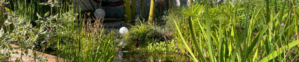 Mathieu R. (ENVIE PAYSAGE)