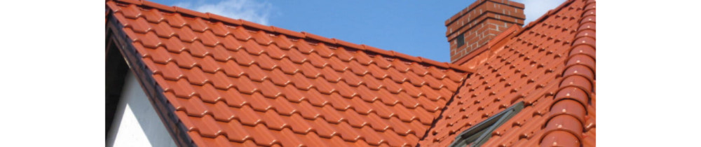 Marian Z. (FSN Couverture)