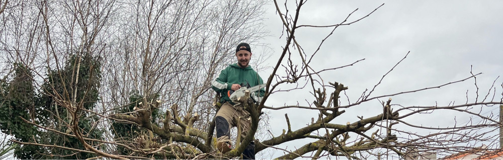 Johnny M. (M.maillard)