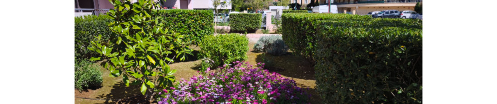 Jocelyn C. (JJardin)