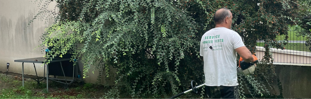 Pierre C. (Mr. Pierre)