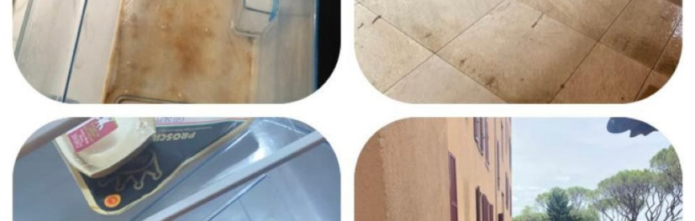 Aldo L. (PrestigeNett)