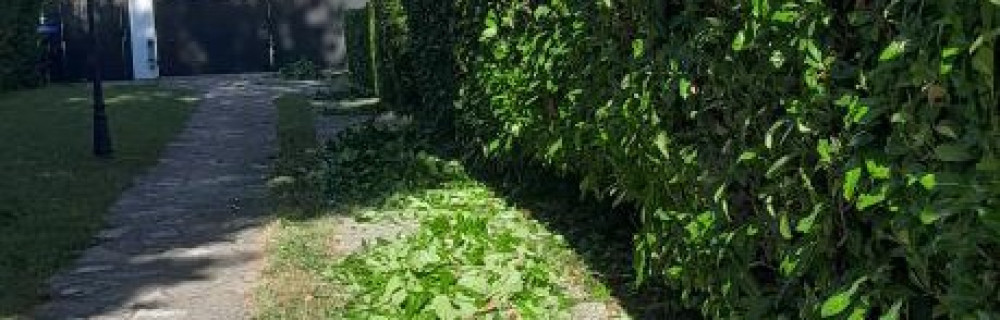 Pronettoyage30 c’est