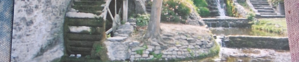 David D. (DDD Multiservices)