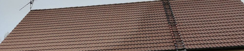 Jessy W. (Weigert-j)