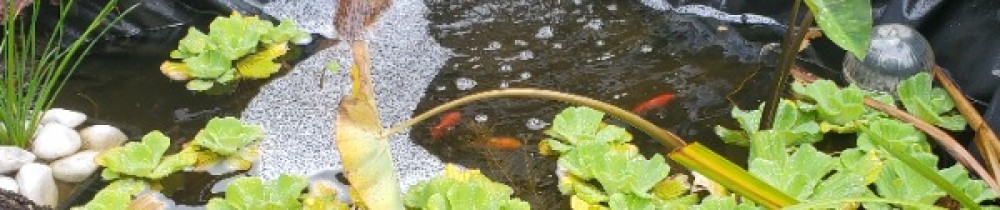 Marie Paule C. (AP M30)