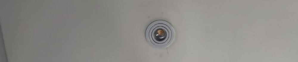 Rachid T. (tr services)