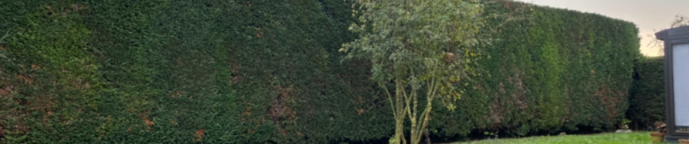 Jacques Valentin C. (JVC SERVICES)