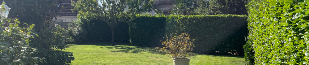 Mathieu L. (ML PROPRE)