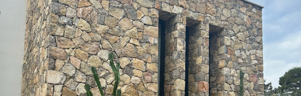 Dany P. (Pereira bat)