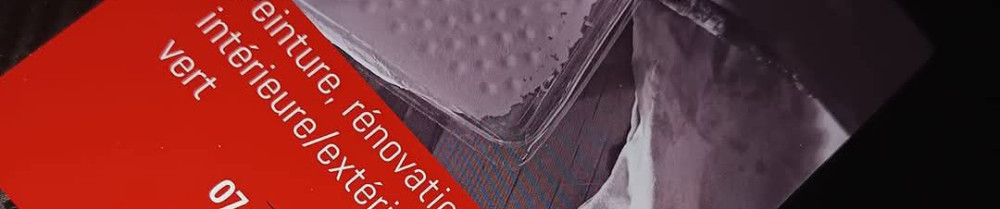 Bastien P. (bastrenove54)