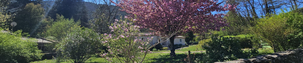 Nicolas D. (Dnaforest paysagiste)