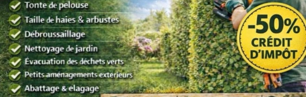 Damien F. (Atelier multiservices)