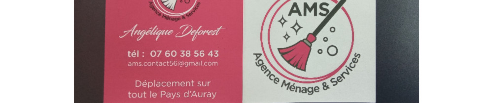 Angélique D. (AMS Agence Ménage et Ser...