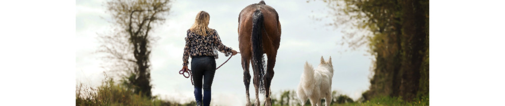 Morgane B. (Pattes Patrouille)