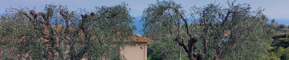 Othman B. (B&Oquality services)