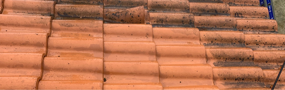 Alexis P. (AP Multiservices)