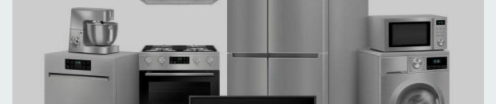 David D. (david service)