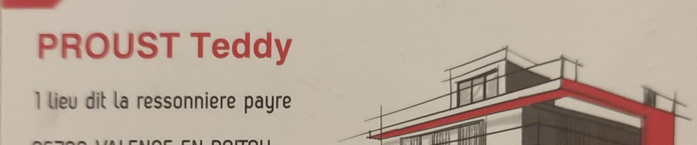 Teddy P. (Proust Teddy)
