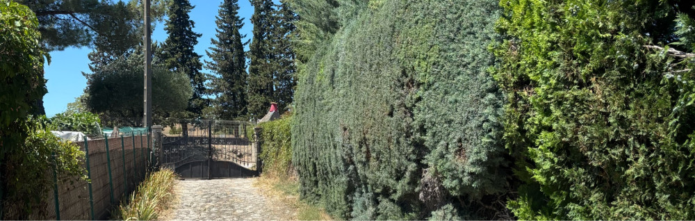 Oussama N. (ON JARDIN)