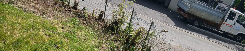 Reinhard J. (R.J SERVICES)