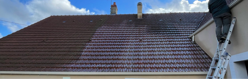 Cedric C. (Pro service)