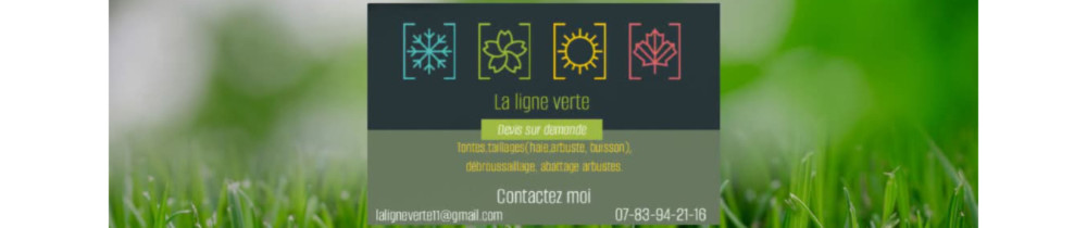 Lorenzo P. (Lorenzo Pestelle)