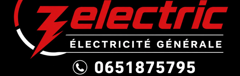 Mickael Z. (zelectric)