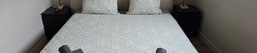 Adama T. (Zara clean)