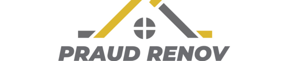 Nicolas P. (praud renov)