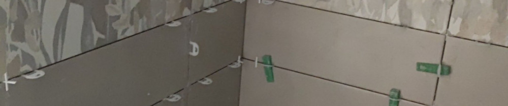 Ali B.