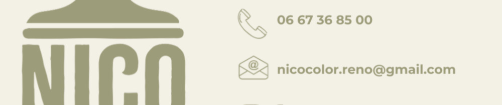 Nicolas D. (NICO COLOR & RÉNO)