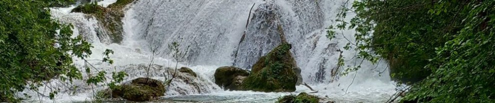 Andrei P. (Paladi Andrei)