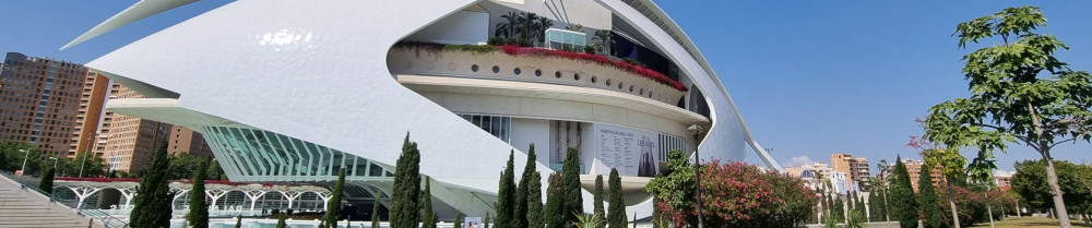 Actarus M. (ACTARUS MULTI SERVICES)